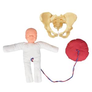 Simedutech Female Pelvic Skeleton Model - Life-Size Obstetric Childbirth Education Tool with Anatomy Doll,Hip Bone Anatomy Model,Flexible Pelvic Floor Model for Gynecological Training & Midwives