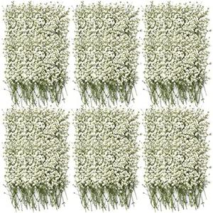 300 Pcs Dried Babys Breath Flowers Bulk Ivory White Babys Breath Real Pressed Flowers Natural Gypsophila for Resin Wedding Art Craft DIY Invitations Scrapbooking Card Making