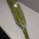 Deco 79 Dried Plant Palm Leaf Home Decor Natural Foliage Natural Dried Foliage with Feather Inspired Stems, Foliage for Decoration 4" x 1" x 43", Green