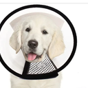 Plastic Pet Recovery Collars & Cones for Dogs and Cats After Surgery Adjustable Dog Neck Cone Surgical Elizabeth E-Collar Prevent Biting and Stop Licking Wound, Size Medium
