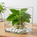 Acrylic Cylinder Vase, Thick Vase, Non-Breakable Plastic, Decorative Centerpiece for Home or Wedding, 7.87"x7.87" Square - Clear