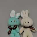 Skylety 21 Pieces Small Bunny Stuffed Animal Bulk 6.3 Inch Mini Bunny Plush 7 Colors Soft Tiny Plush Toys Small Rabbit Doll Keychain Cute Birthday Valentines Easter Party Decorations(Cute Style)