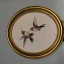 JarThenaAMCS Vintage Gold Framed Wall Art Hummingbird Canvas Prints Ornate Antique Style Picture Frame Sketch Painting for Living Room Bedroom Home Farmhouse Mantel Table Wall Decor, 11.4 x 9.6 Inch