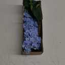 5PCS Hydrangea Artificial Flowers, Real Touch Latex Hydrangeas, Realistic Faux Floral Dcor for Home Office Wedding Bouquets Centerpieces Party