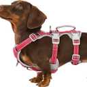 Huntboo No Escape Dog Harness, Escape Proof Harness, Fully Reflective Harness with Padded Handle, Breathable, Durable, Adjustable Vest for Small Dogs Walking,Training,and Running Gear(Red,S)