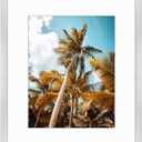 Frametory, 16x20 Picture Frame with Mat for 11x14 Picture- - High Definition Glass Wide Molding - Preinstalled Wall Mounting Hardware (Silver, 1 Pack)