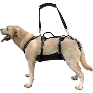 Coodeo Dog Lift Harness, Support & Recovery Sling, Pet Rehabilitation Lifts Vest Adjustable Breathable Straps for Old, Disabled, Joint Injuries, Arthritis, Paralysis Dogs Walk (Black,XL) 