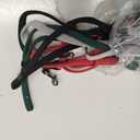 SIGONNA Eye Glasses String Holder Strap - Eyeglass Straps Cords for Men Women - Eyeglass Holders Around Neck - Sunglasses String Chain Lanyard Retainer - 4 Pcs Green Red