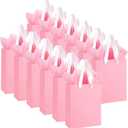Ethhqu 12-Pack Small Pink Gift Bags with Handles - Includes 24 Tissue Papers, 6.3x4.7x2.4 Inches Mini Gift Card Bag for Birthday Party, Baby Shower, Wedding, Holiday