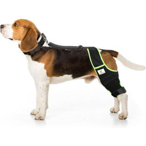 Dog Knee Brace for Hind Legs with Extra Collar & Strap - Relieves Joint Pain & Discomfort, Enhances Mobility | Supports Recovery from Osteoarthritis, Torn ACL/CCL, Luxating Patella | Adjustable (XS)