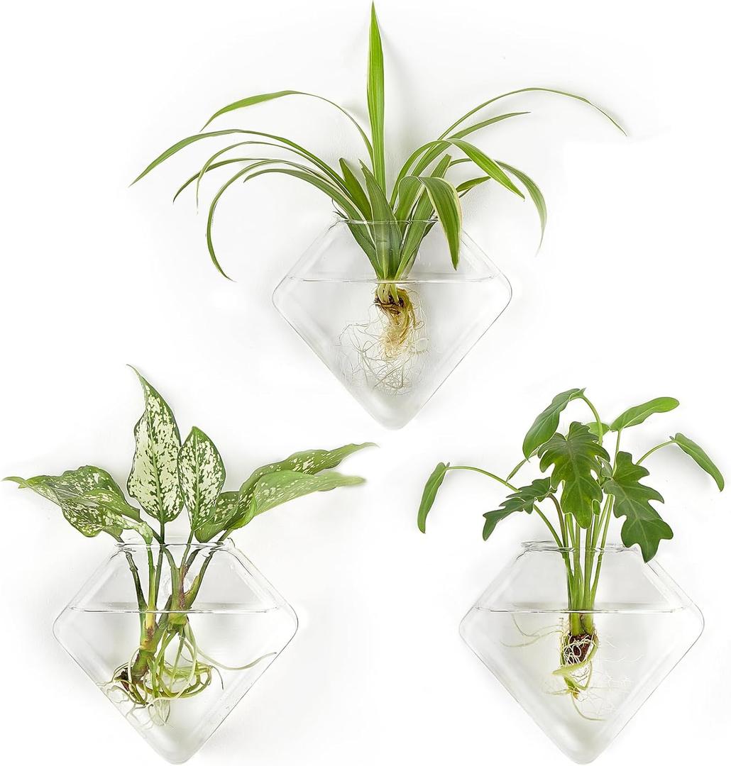 Mkono Wall Planter Hanging Propagation Stations Flower Vase Glass Pots Holder for Hydroponic Plants, Indoor Home Office Living Room Bathroom Decor Gifts, 3 Pack