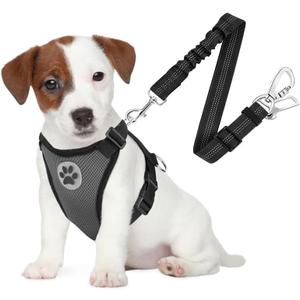 SlowTon Dog Seat Belt Harness for Car, Dog Car Harness Adjustable Mesh Breathable & Dog Seatbelt Safety Tether with Elastic Bungee for Small Medium Large Pets(Grey, Double Clip, S)