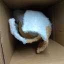 Lighted Christmas Dog with LED Lights Ground Stakes and Cable Tiers Sourcing Wholesale Supplier/Distributor