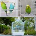 Small Bird Travel Cage-Lightweight Small Birds Starter Kit with Birdcages and Accessories Great for Parakeets Lovebirds Parrotlets Finches Canaries Removable Plastic Tray Include (White11.8"L x 9"W x 15.3"H)