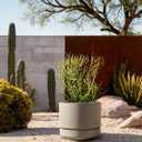 LE TAUCI Large 14 Inch Plant Pot with Saucer | Ceramic Outdoor & Indoor Big Planter Pot | Drainage Hole, Mesh Pad | Unglazed Porous | Modern Minimalist for Home and Patio Neutral Gray