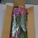Yastouay 12 Bundles Artificial Flowers for Outdoors, UV Resistant Artificial Outdoor Flowers No Fade Fake Outdoor Flowers Plants for Garden Porch Window Box Pot Planters Decor (Fuchsia+Rose Red)