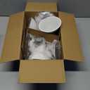 Energetic PAR38 Outdoor LED Flood Light Bulb, 5000K Daylight, 90 Watt Equivalent, Wet Rated, 900LM, E26 Base, Non-Dimmable, 6 Pack