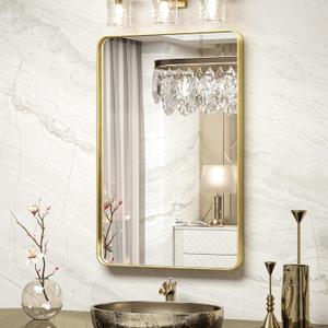 TokeShimi 20 x 30 Inch Gold Bathroom Wall Mirror Vanity Metal Frame Round Corner Rectangular for Home Decor Living Room Entryway (Horizontal/Vertical)