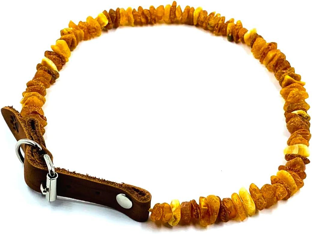 Baltic Amber Dog & Cat Collar - Adjustable Leather Strap with Raw Knotted Amber Beads (55-60cm)