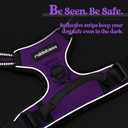 Rabbitgoo Dog Harness No Pull with 2 Leash Clips, Adjustable Soft Padded, Reflective Oxford No Choke Pet Vest with Easy Control Handle for Medium Sized Dogs, Purple, M