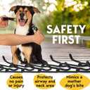PetJett ProTrainer Prong Collar for Dogs - Choke Collar for Dogs, Pinch Collar for Dog Adjustable No Pull Training Collar for Dog - Safety Durable Stainless Steel Metal Choker Chain