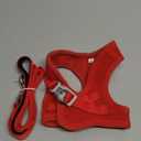 rabbitgoo Dog Harness Small Sized and Leash Set, Step in Soft Light Puppy Vest, Breathable Mesh Pet Harness, Reflective for Safe Easy Walking, Red, Size: XS