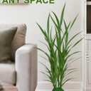 Artificial Plants Indoor 3.6FT Tall Fake Tree Faux Dracaena Plant 1 Pack