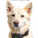 Collar Replacement Strap Breathable Quick Release Basic Dog Collars Training Bark Receiver Collars Durable Adjustable Collar Straps for Small Medium Large Dogs, Black.