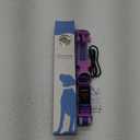 VIZPET LED Dog Collar, Light Up Dog Collar Adjustable USB Rechargeable Super Bright Safety Light Glowing Collars for Dogs (Purple, Large[18.89-23.62 inch/48-60cm])