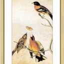 6x8 Picture Frame, Brass Aluminum Metal Photo Frames with HD Glass, Fits 5x7 with Mat or 6 x 8 without Mat, Display for Wall and Table