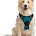 rabbitgoo Dog Harness No Pull with 2 Leash Clips, Adjustable Soft Padded, Reflective Oxford No Choke Pet Vest with Easy Control Handle for Medium Sized Dogs, Blue Coral, M