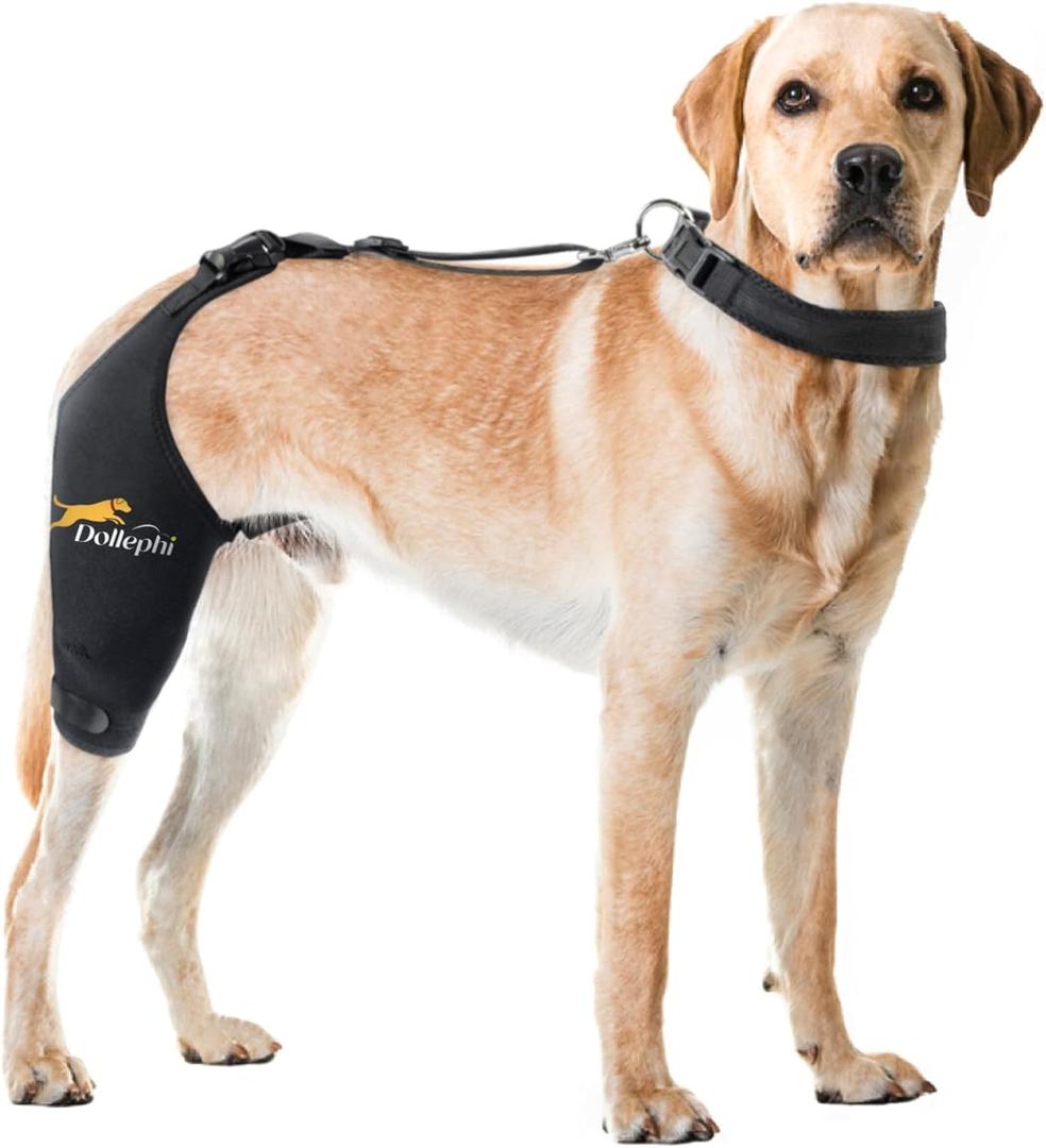 Dog Knee Brace for Torn ACL Hind Leg, Hot/Cold Compress for Patella Dislocation or Osteoarthritis, Cruciate Ligament Injuries,Patent Pending(Right Leg,M)