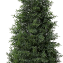 LOMANTO Outdoor Artificial Topiary Cedar Tree 3Ft UV Rated Potted Plant  Fake Tree for Porch Decor Faux Pine Plant for Housewarming