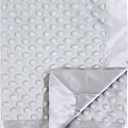 Hudson Baby Unisex Baby Plush Mink Blanket, Gray, One Size