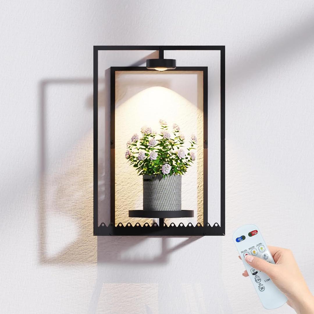 Starxing Wall Plant Shelf with Grow Lights, Remote Control Indoor Plant Holder Stand for Hanging Planters, Modern Framed Wall Decor for Living Room, Home M-1PK