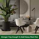 PATIKIL 30 Pack Plastic Plant Saucer, 10 Inch Plastic Plant Tray for Pots Flower Round Plant Dish Plant Drip Trays Water Tray Pot Drainage Tray for Indoors Outdoors Garden, Black