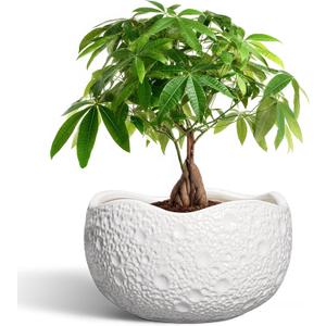 10 Inch Plant Pot - Ceramic Planter for Indoor Outdoor, Round Bonsai Pots, Decorative Flower Pots with Drainage Hole, Modern Unique Planters, House Decor, Home Gifts, White