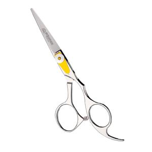 Equinox Professional Razor Edge Series Barber Hair Cutting Scissors - Japanese Stainless Steel Salon Scissors - 6.5 Overall Length - Fine Adjustment Tension Screw - Premium Shears for Hair Cutting (6.5 Inch, Silver)