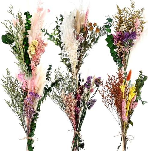 6 Bunches Large Size Dried Flower Bouquet 15 -17 Inch Natural Dried Pampas Grass Lavender Babys Breath Eucalyptus with Stems Flower Arrangements for Vase Boho Wedding Rustic Farmhour Home Decor