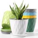 4 Inch Plant Pots with Drainage Holes, 6 Pack Plastic Indoor Flower Pots, Succulent Pots for Orchids, Violets, Succulents, Herbs, and Other Small Plant, 6 Colors