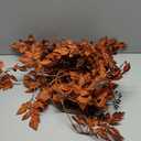 Pack Plum Artificial Cimicifuga Plant Garland 6ft Artificial Plum Brown Cimicifuga Ramosa Leaves Autumn Leaf Vine for Fall Halloween Mantel Thanksgiving Garden Farmhouse Decoration (1)