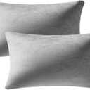 Lumbar Pillow Covers 12x20 Light-Grey: Pack of 2 Cozy Soft Velvet Rectangular Modern Luxury Decorative Throw Pillow Cases for Sofa Couch Living Room Bed Home Decor