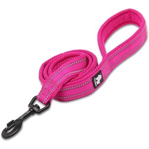 TRUE LOVE Reflective Dog Leash Puppy Walking Lead, Padded Pet Chain RopeLength 110cm Truelove TLL2111(Fushcia,S)