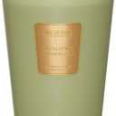 M&SENSE Eucalyptus Cedarwood Scented Natural Soy Wax Candle, 14.1oz 60 Hours Long Lasting Slow Burning, Aromatherapy Candle for Stress Relief Home Decor