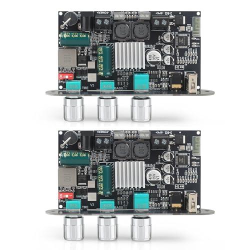 Wuzhi Audio 2PCS ZK-1001U Mono Amplifier Board with TWS, 100W Power Output, Vehicle Amplifier Wide Voltage Input 9-24V, Supports USB/AUX/Bluetooth
