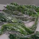 Daifunli 8 Pcs Artificial Hanging Plants Fake Hanging Ferns Plastic Faux Plants for Wall Room Garden Garland Indoor Outdoor Decor No Basket (Boston, Eucalyptus, Ivy Vine, String of Pearls)