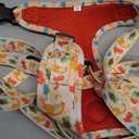 Adjustable Dog Harness and Leash Set for Girl Air Mesh Dog Vest Harness 5Ft Pet Training Leash with Soft Handle Pet Escape Proof for Small Medium Large Dogs (Dinosaur, M) (M (Neck 13.4"-16.5"; Chest 17.7"-23"))