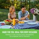 2 x Terra Plantains Real Sea Salt Vegetable Chips 5 oz (5 Ounce (Pack of 1))