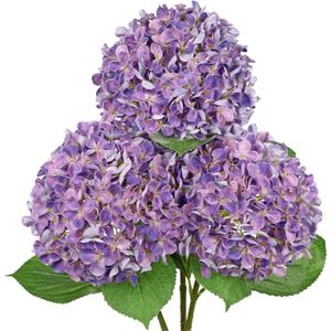 26" Artificial Hydrangea Flower with 6.6" Large Bloom, Realistic Gradient Silk Flowers, Faux Hydrangeas for Home Wedding Centerpiece Decor, Big Petal Fake Floral Arrangement, Indoor Outdoor Display (3PCS, Lavender Purple)