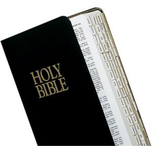 Tabbies Mini Gold-Edged Bible Indexing Tabs, Old & New Testament, 80 Tabs Including 64 Books & 16 Re